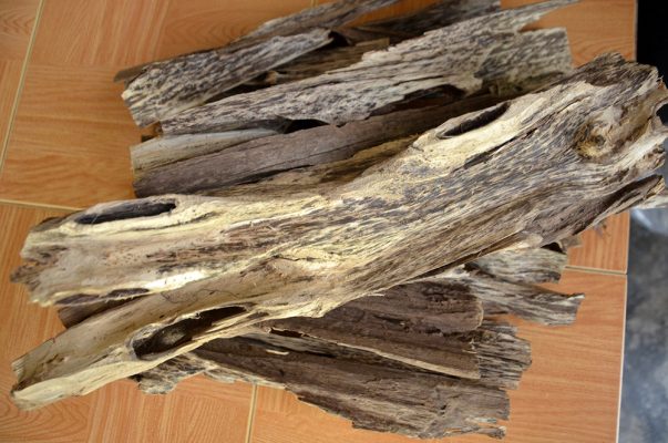 Làng nghề Trầm hương vùng Bảy Núi